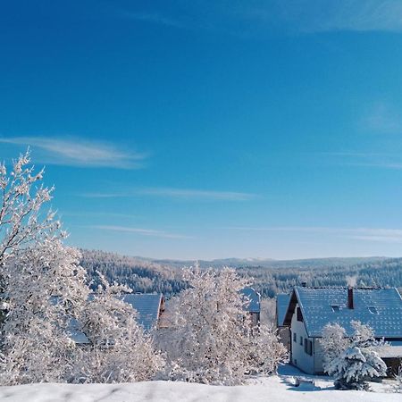 Gite Des Roches La Chaux-du-Dombief Екстериор снимка