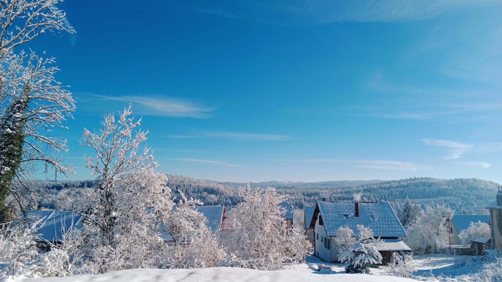 Gite Des Roches La Chaux-du-Dombief Екстериор снимка